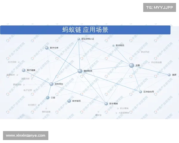 DK宏技术研究与实践应用到优化的全景化深度解析路径探索 DK宏技术研究与实践应用到优化的全景化深度解析路径探索