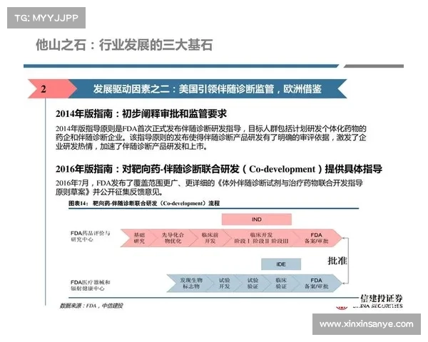建业足球俱乐部组织结构与功能分析：从管理模式到运营机制的深度探讨
