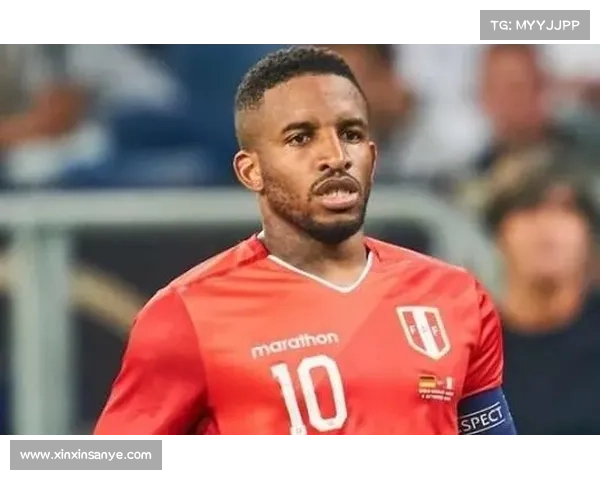 法尔范在沙尔克04的角色与影响分析：技术核心与队伍灵魂的交织