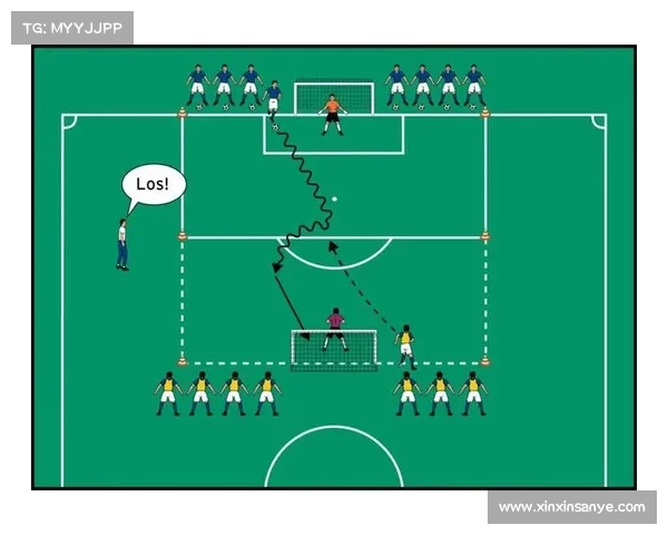 学校体育政策对青少年足球参与度的影响及其推动作用研究