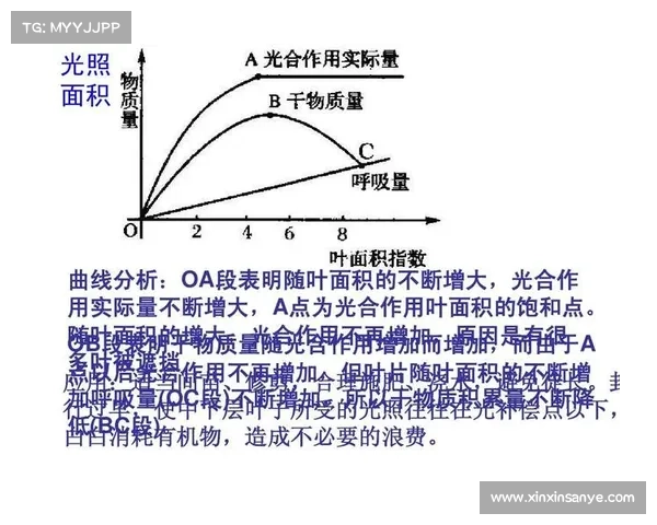 影响中国足球历史排名的五大关键因素分析及其深远影响 影响中国足球历史排名的五大关键因素分析及其深远影响